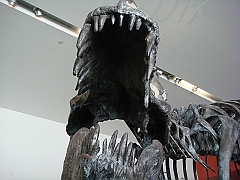 034 Cranbrook Institute of Science [2008 Jan 02]